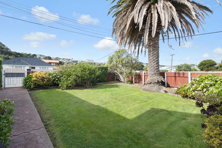 67 Devonshire Road Miramar_18