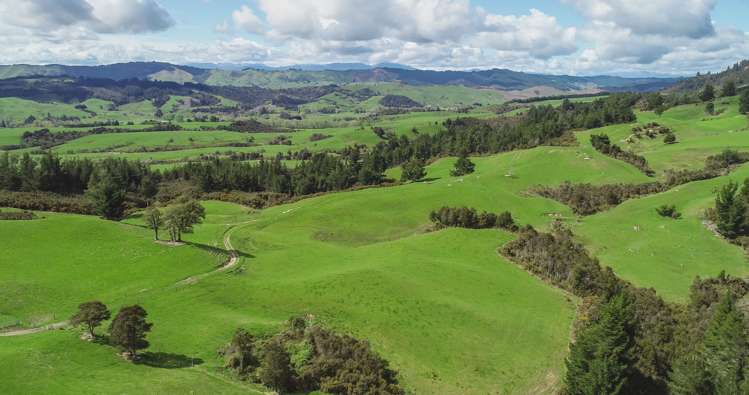 557 Tadmor-Bushend Road Tapawera_7