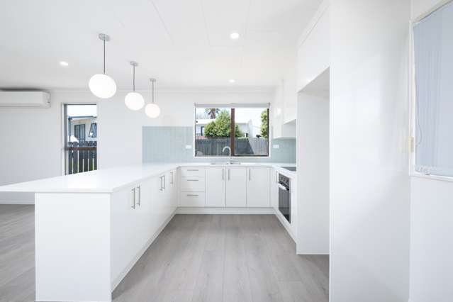 174 Finlayson Avenue Clendon Park_2