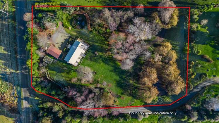 17 Sherratt Road Geraldine Downs_22