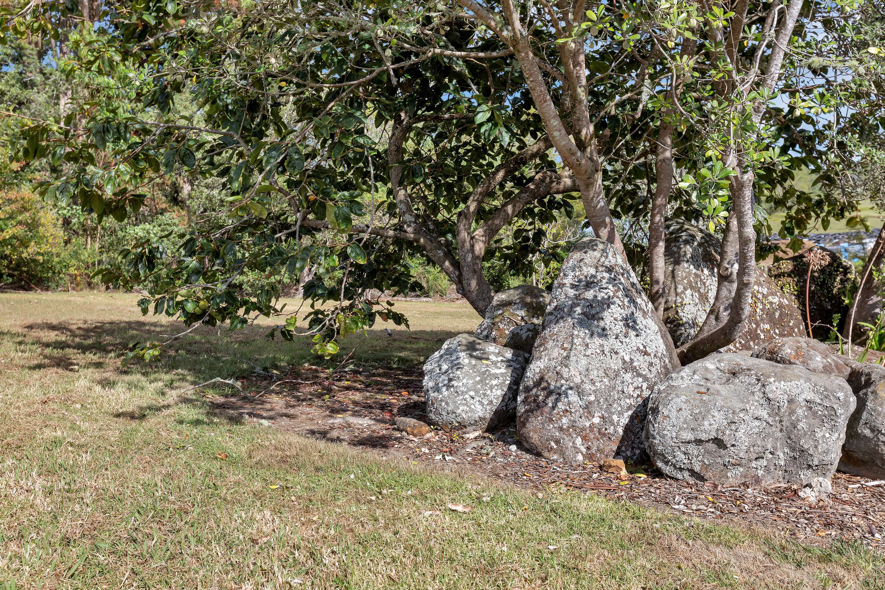 95 McLennan Road Whakapara Whangārei Houses for Sale One Roof