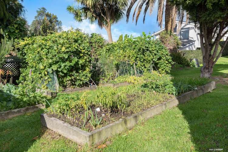 19/16 Willerton Avenue New Lynn_4