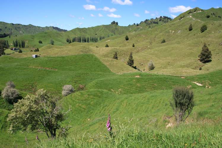 5 Marco Road Ruapehu-King Country Surrounds_11