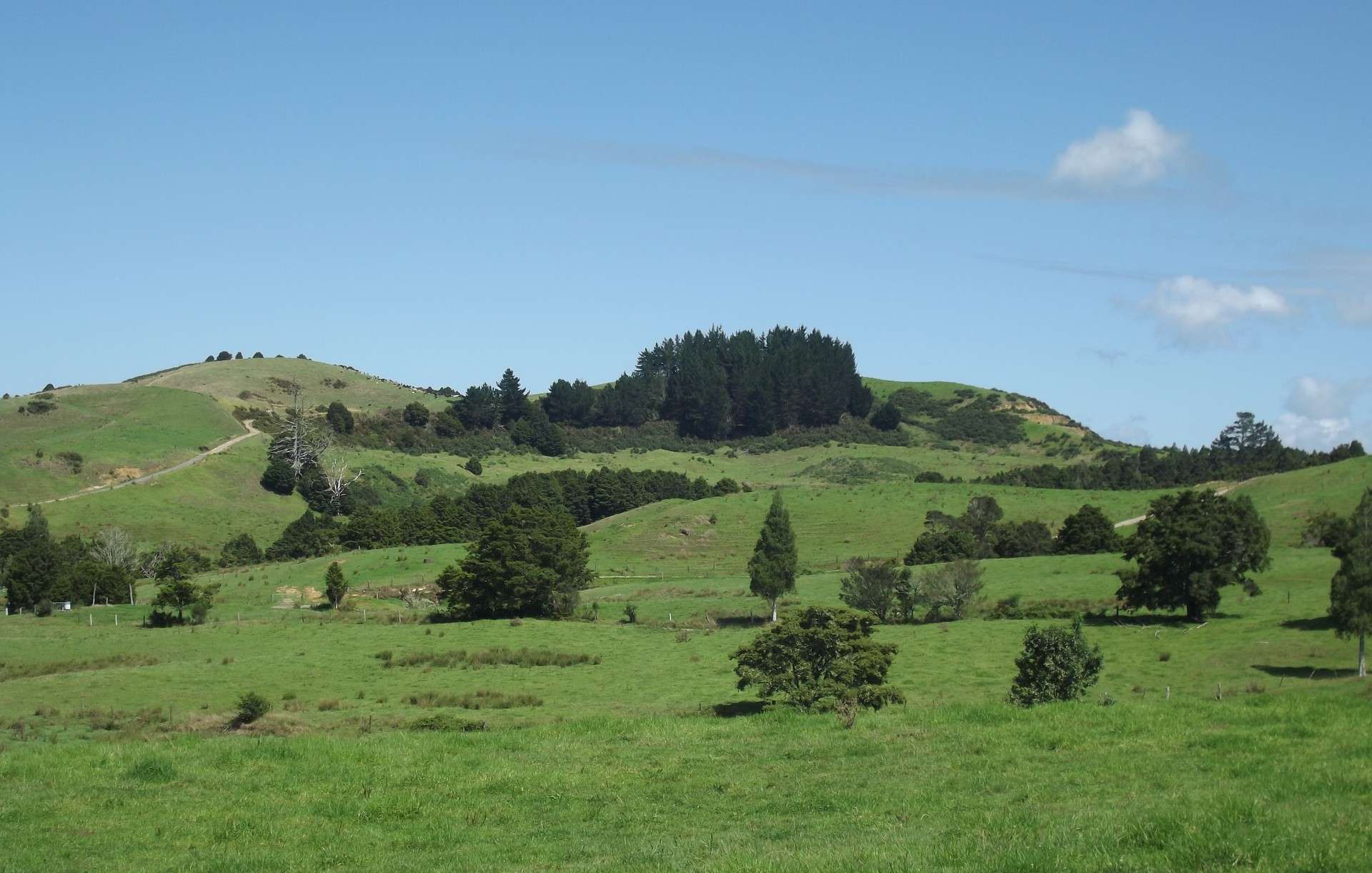 81 Ruapekapeka Road Towai_0