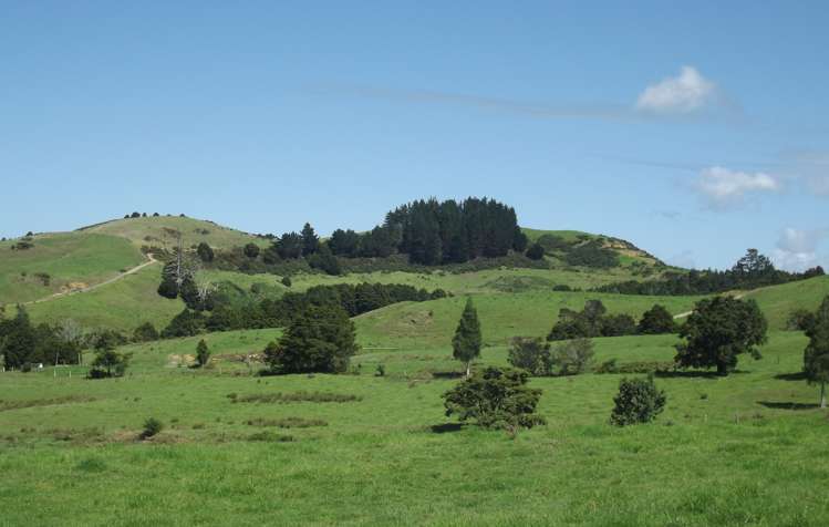 81 Ruapekapeka Road Towai_0