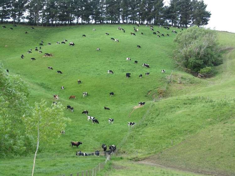 1965 Ohai Clifden Highway Otautau_15