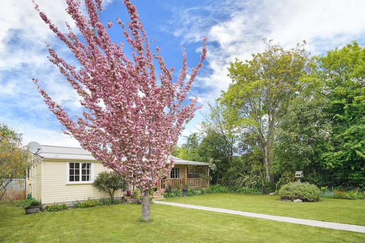 1659 Cust Road Cust_12