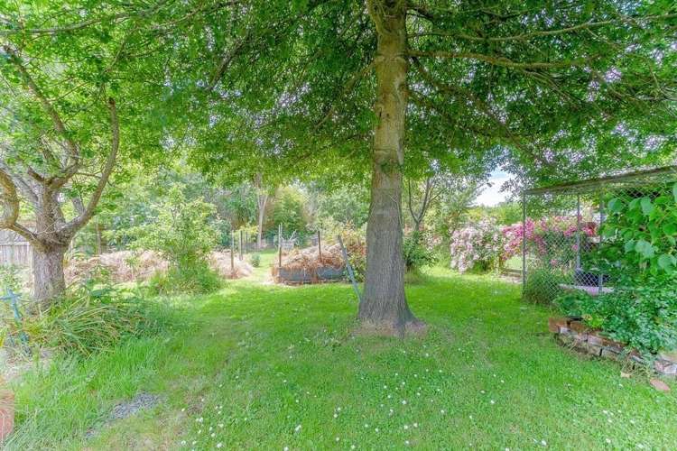 31 Kepa Street Wanganui East_14