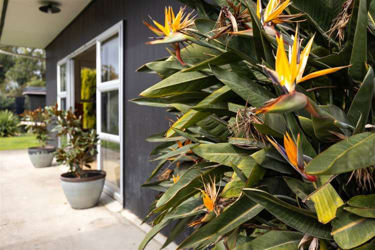 11a Dillons Point Road Islington_25