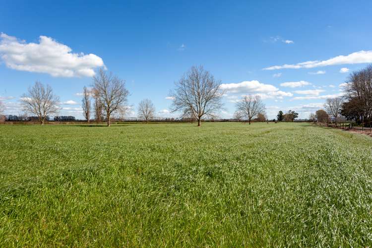 O'Donoghue Road Hauraki Surrounds_10