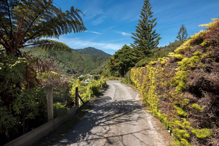 27a Dorset Street Picton_19