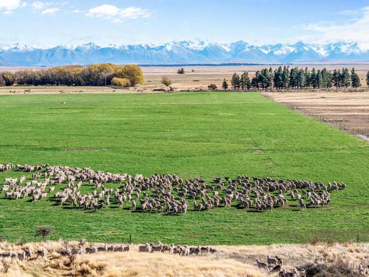 495 Haldon Road Lake Tekapo_5