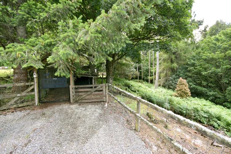 317 Leith Valley Road Leith Valley_20