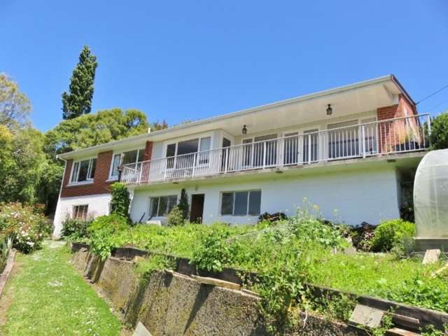 8 Hellyer Street Macandrew Bay_1