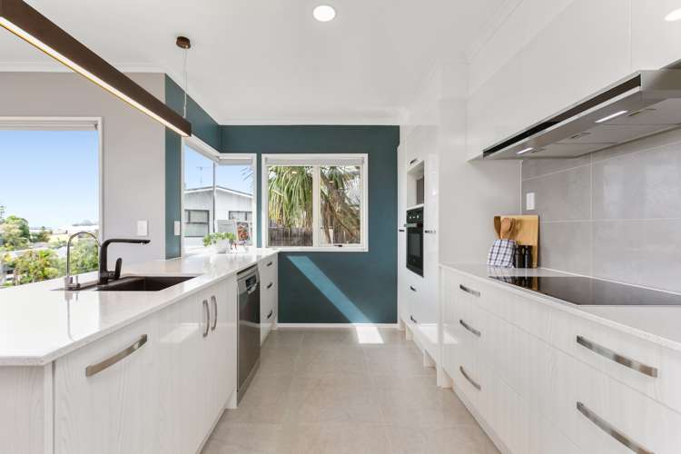 272b Bellevue Road Bellevue_8