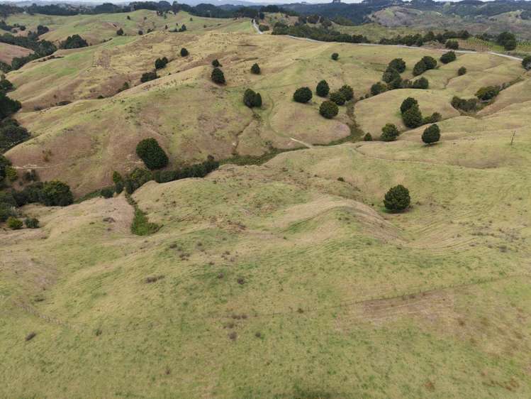 290 Hillcrest Road Waiotira_15