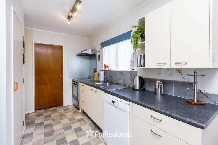 1 Gemstone Drive Birchville_4