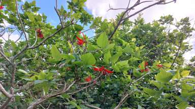 Lot/2 Wearmouth Road_1