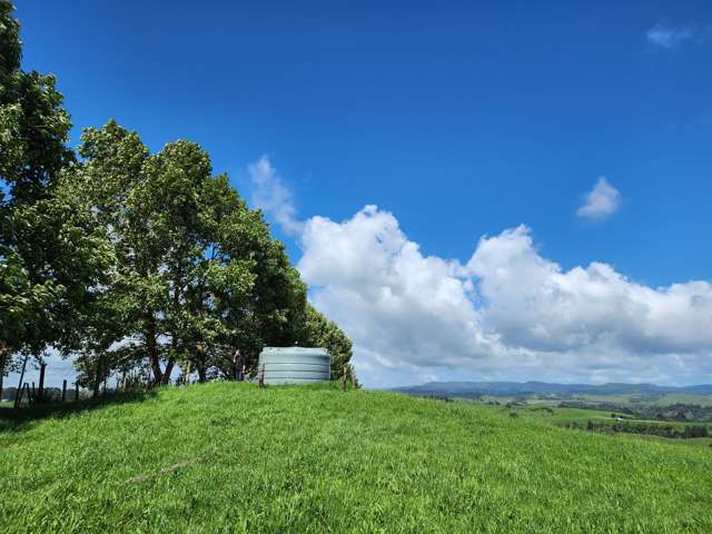 481 Honikiwi Road Otorohanga_3