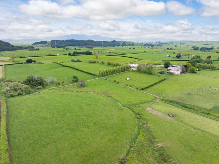 1266 Tauhei Road Morrinsville_3