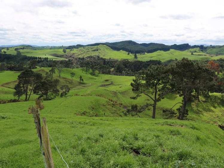 196 Hildreth Road Arapuni_25