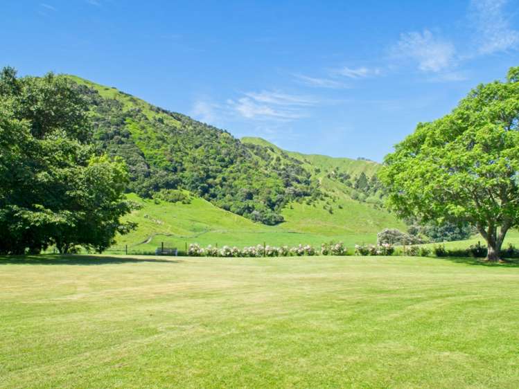 111 Glenelg Road Makauri_2