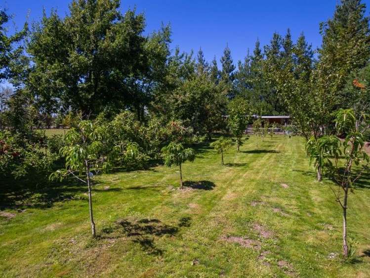 3 Gibsons Road Kaituna_7