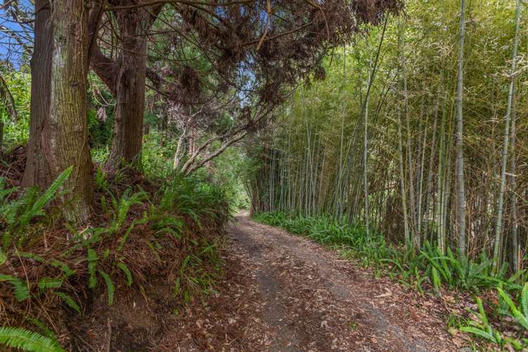 121 Reeves Road Opotiki and Surrounds_34