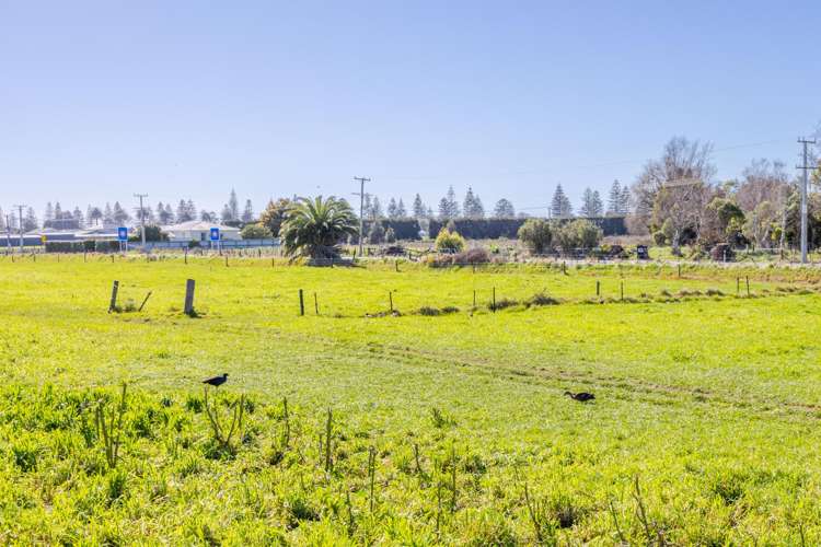 31a Masefield Avenue Maraenui_5