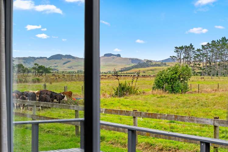 331 South Head Road, South Head Helensville_24