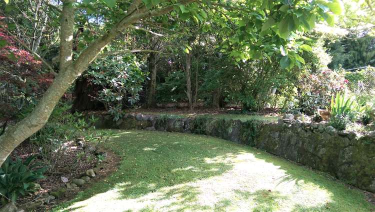 48 Tapapa Road Tapapa_15