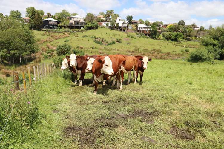 149b Rayner Road Huntly_6