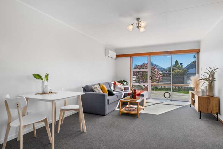 2/29 Ward Street Springlands_12