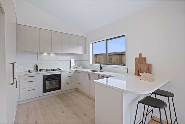 22 Oneone Street 11373_2