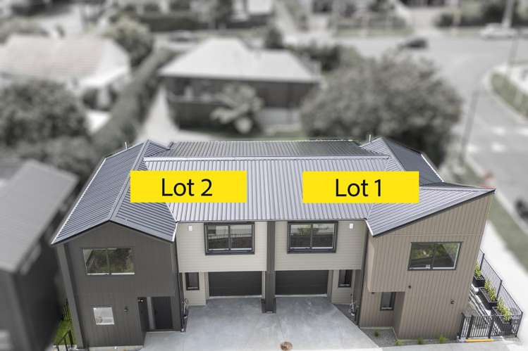 3B Range View Road Mount Albert_0