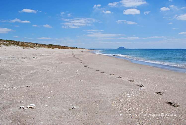 8 Seashell Drive Papamoa_12