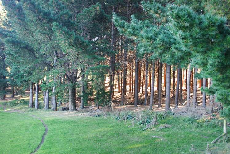 83 Mcmeakin Road Abbotsford_15