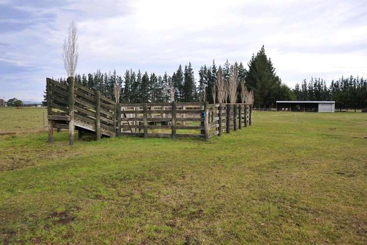 765 Main Drain Road Fernside_19