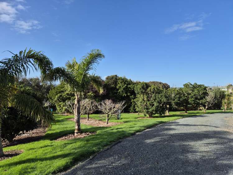 71 Devich Road Mangawhai_30