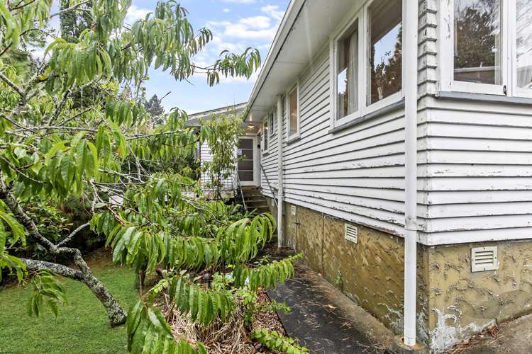 16 Stedman Place Avondale_16