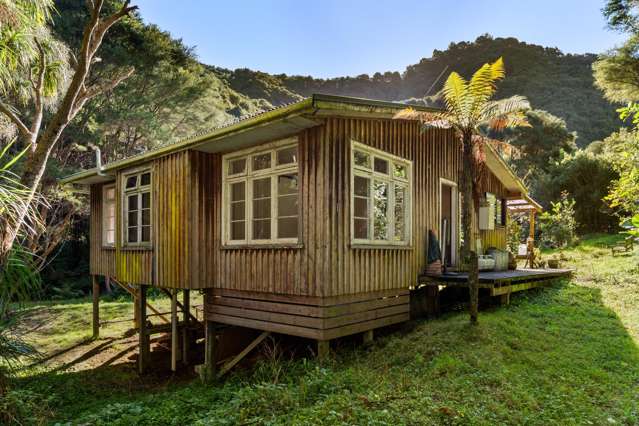 240 Cave Road Waimata_2