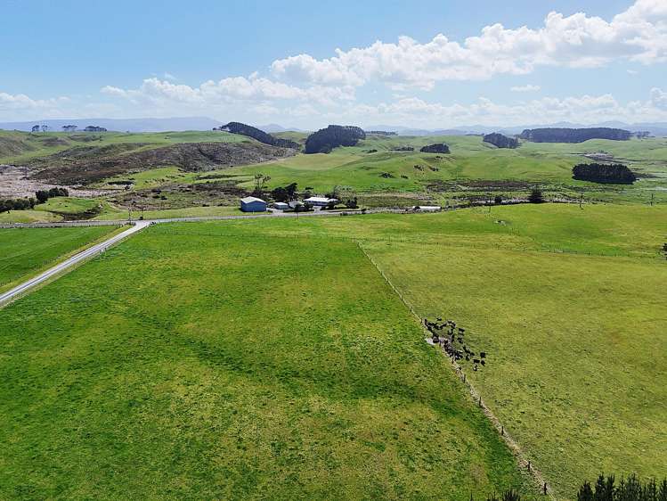 413a Baylys Coast Road Dargaville_15