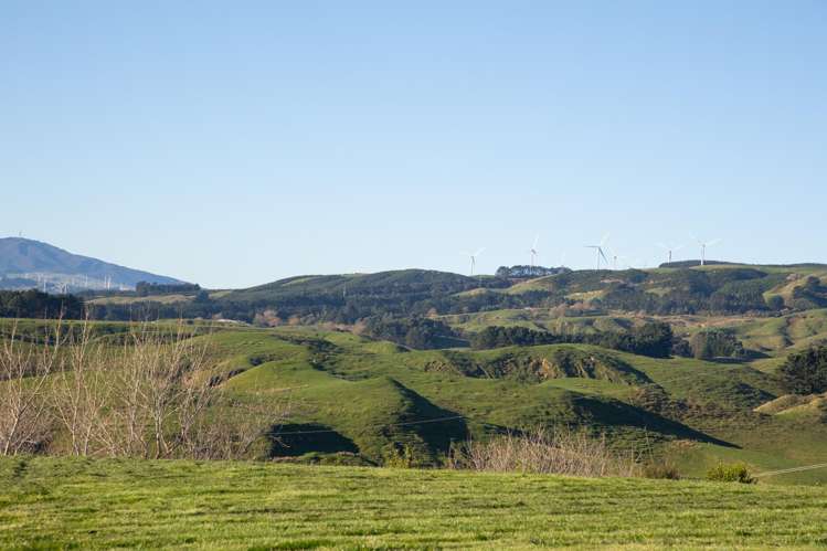 152 Kingsdale Park Drive Aokautere_10