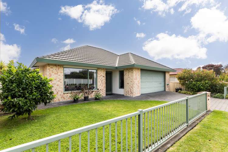 38A Peddie Street Taradale_0