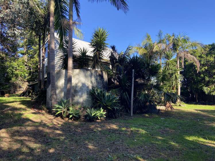 6 Tui Street_2