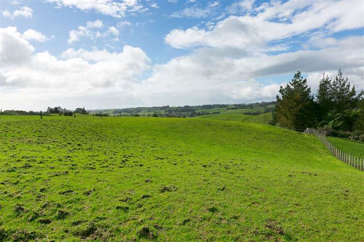 409 Hursthouse Road Tarurutangi_6