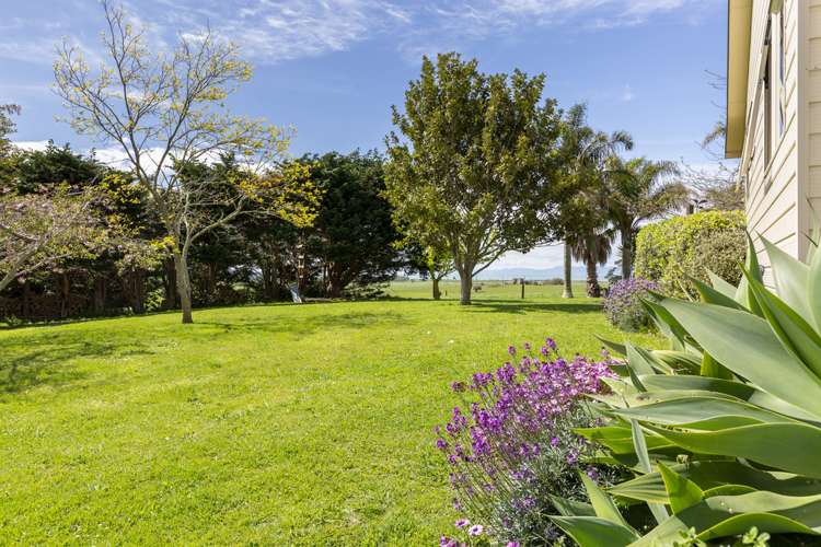 1106 Miranda Road Miranda_13