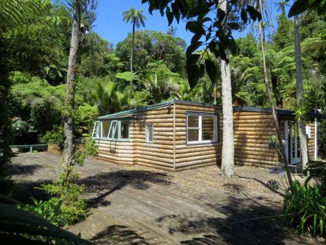 2 Mahakirau Road Coromandel_2