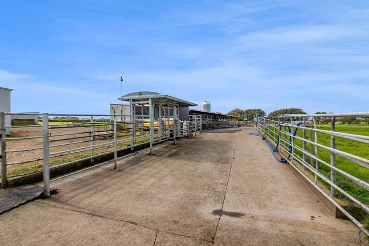 455 Lower Duthie Road Kaponga_3