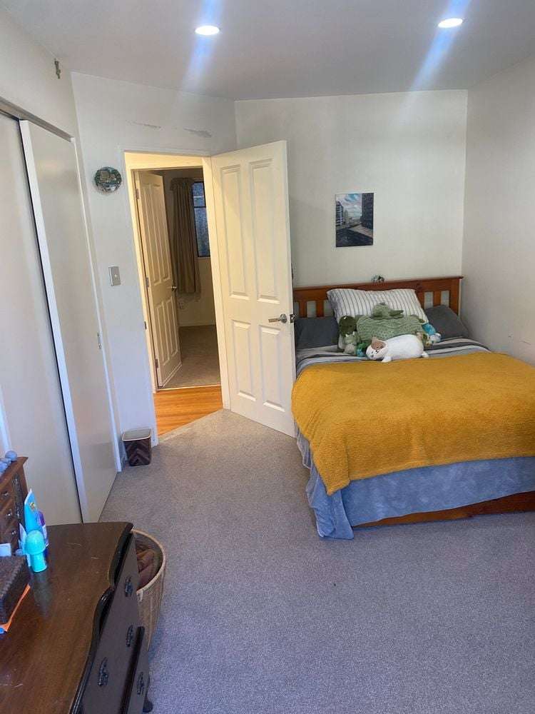 136 Aro Street Aro Valley_5